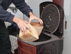 Konak’ta kış dayanışması: Budanan ağaçlar yuvaları ısıtıyor