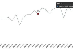 Kümes Hayvancılığı Üretimi, Kasım 2025