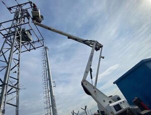 Kuşların Göç Seyahatinde “Elektrik Çarpması Tehdidinin Önlenmesi” için Memleketler arası Çalışma Başlatıldı.