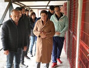 Lider Fıçı hayvanseverlerle buluştu: Can dostlarımız yalnız değil!