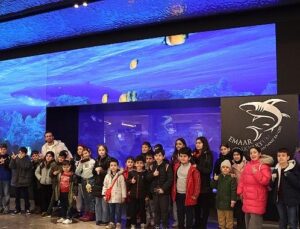 Maltepeli çocuklar yarıyıl tatilinde su altı dünyasını keşfetti