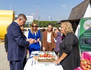 Menderes’te salep umudu