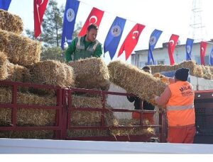 Milas Belediyesi Üreticilere Yönelik Dayanaklarını Sürdürüyor