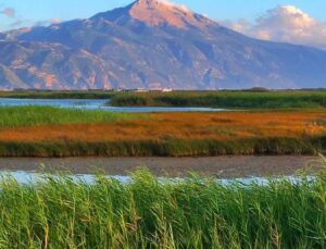 Milleyha Doğa Gözlem Merkezi Üç Gün Sürecek “Doğa Buluşması” ile Kapılarını Açıyor