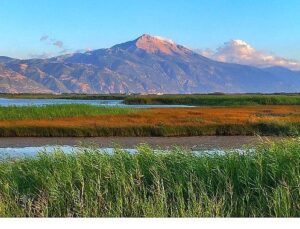 Milleyha Tabiat Müşahede Merkezi, 13 Şubat’ta Üç Gün Sürecek “Doğa Buluşması” ile Kapılarını Açıyor.