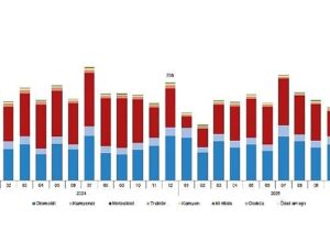 Motorlu Kara Taşıtları, Aralık 2025