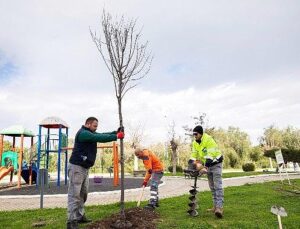 Narlıdere, Peyzaj Çalışmalarıyla Güzelleşiyor
