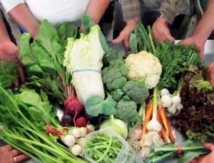 Ne Yediğini Bilmek İsteyenler Kendi Gıda Erişim Ağlarını Kuruyor