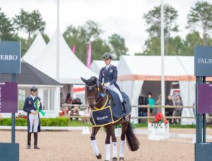 Novare’nin Desteği Falsterbo’da Dresajı Üst Seviyeye Taşıyor