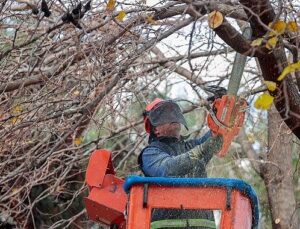 Öğrenciler tatilde, Konak Belediyesi takımları iş başında