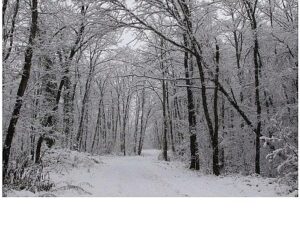 Ormanya’da kartpostallık kış görüntüleri