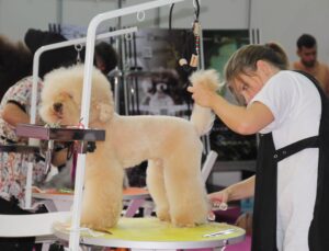 Pet İzmir 2026 Fuarı – Evcil Hayvan Sektörünün Buluşma Noktası