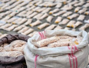 Police seize 1,000 tonnes of chemicals in ‘largest-ever’ drugs bust, Europol says