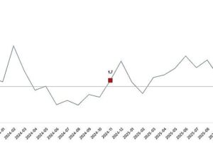 Sanayi Üretim Endeksi, Kasım 2025