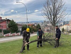 Şiddetli Lodosun Devirdiği Ağaçlara Osmangazi Belediyesi’nden Anında Müdahale 
