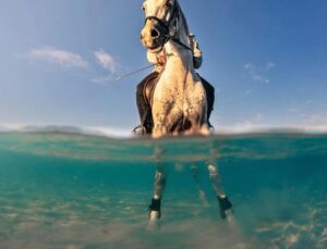 Sony Dünya Fotoğrafçılık Ödülleri:   Öğrenci ve Gençlik Kategorileri Kısa Listeleri Açıklandı