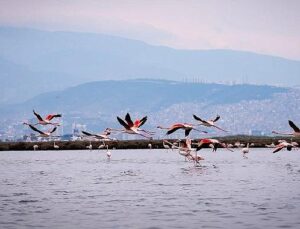 Tabiat, kültür ve lezzet tutkunları yarıyıl tatilinde bu tiplerde buluşacak