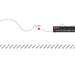 Tarım Eserleri Üretici Fiyat Endeksi, Aralık 2025
