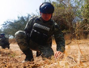 Trump says US to ‘start now hitting land’ in Mexico targeting drug cartels