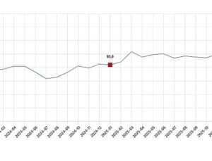 Tüketici İtimat Endeksi, Ocak 2026