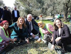 Zeytinin Başşehri Edremit’te MECİ Şenliği başlıyor