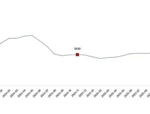 Ziraî Girdi Fiyat Endeksi, Kasım 2025