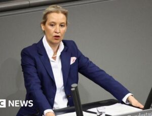 AfD hails court injunction on ‘extremist’ label as victory