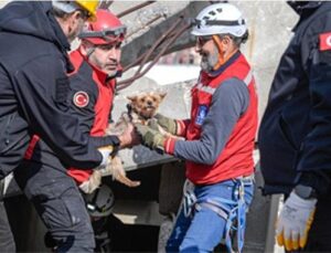 Afetzede hayvanlar için ilçelere arama kurtarma eğitimi