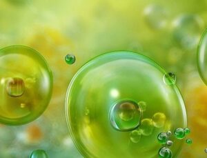 Akdeniz’de Görülen Mikroalgler ve Mümkün Sıhhat Riskleri