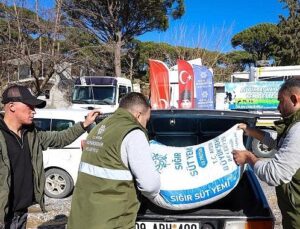 Aydın Büyükşehir Belediyesi’nin Küçük Üreticilere Yem Takviyeleri Devam Ediyor