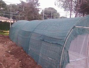 Bergama Belediyesi’nden atıktan hayata dönüşen etraf atılımı