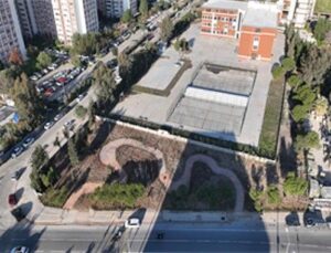 Betonun ortasından orman çıktı