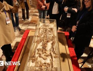 Bones of St Francis of Assisi go on public display in Italy