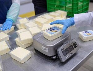 Büyükşehir’den peynir atılımı