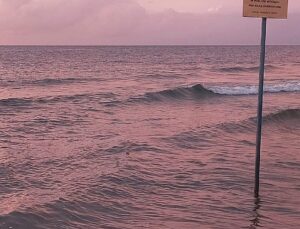 Experts warn of rapid loss of water in the Baltic Sea: ‘A vibrant reef is turning into an underwater wasteland’
