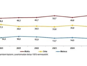 Hayat Memnuniyeti Araştırması, 2025