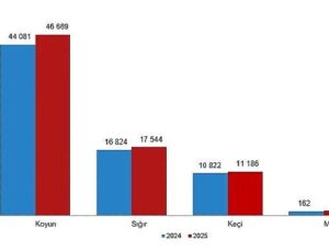Hayvansal Üretim İstatistikleri, 2025