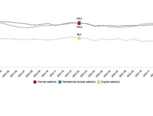 Hizmet, Perakende Ticaret ve İnşaat İtimat Endeksleri, Şubat 2026