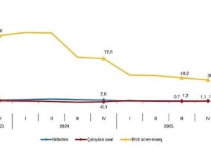İşgücü Girdi Endeksleri, IV. Çeyrek: Ekim-Aralık 2025