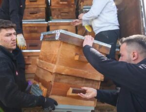 Kırsal Üretime Kovan Desteği