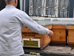 Sel Mağduru Arıcıya Kovan Desteği