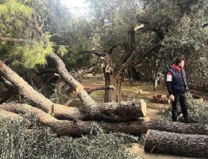 Şiddetli Fırtına Nedeniyle Yaşanan Olumsuz Durumlara Milas Belediyesi Anında Müdahale Etti