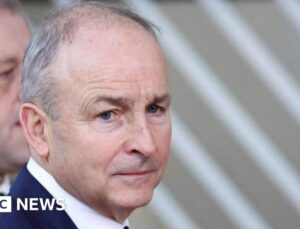 Taoiseach names Stakeknife in Irish parliament