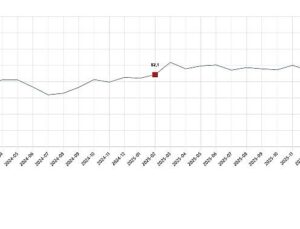 Tüketici İnanç Endeksi, Şubat 2026