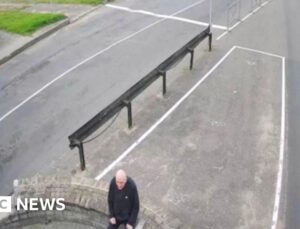 Veteran dissident who refused exile released