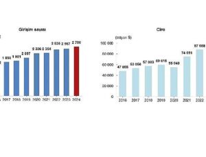 Yurt Dışında Denetim Edilen Teşebbüs İstatistikleri, 2024