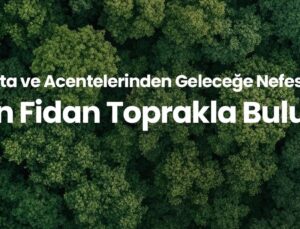 12 Bin Fidan Toprakla Buluştu 