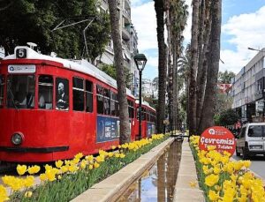 Baharın müjdecisi laleler Antalya sokaklarını renklendirdi