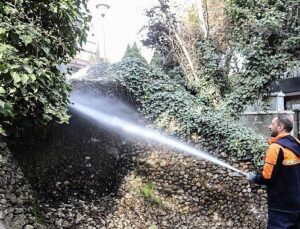 Başkent’in Simgesi Kuğulupark’ta Buharlı Paklık