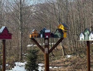 Bayramda kapınız tabiata açılsın